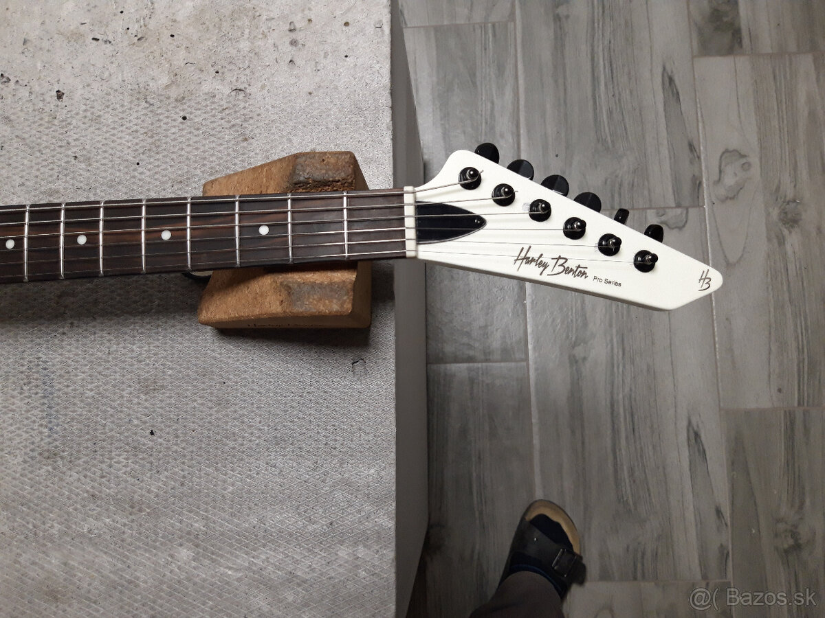 HB Explorer + Fender Champion 50 ll - 2