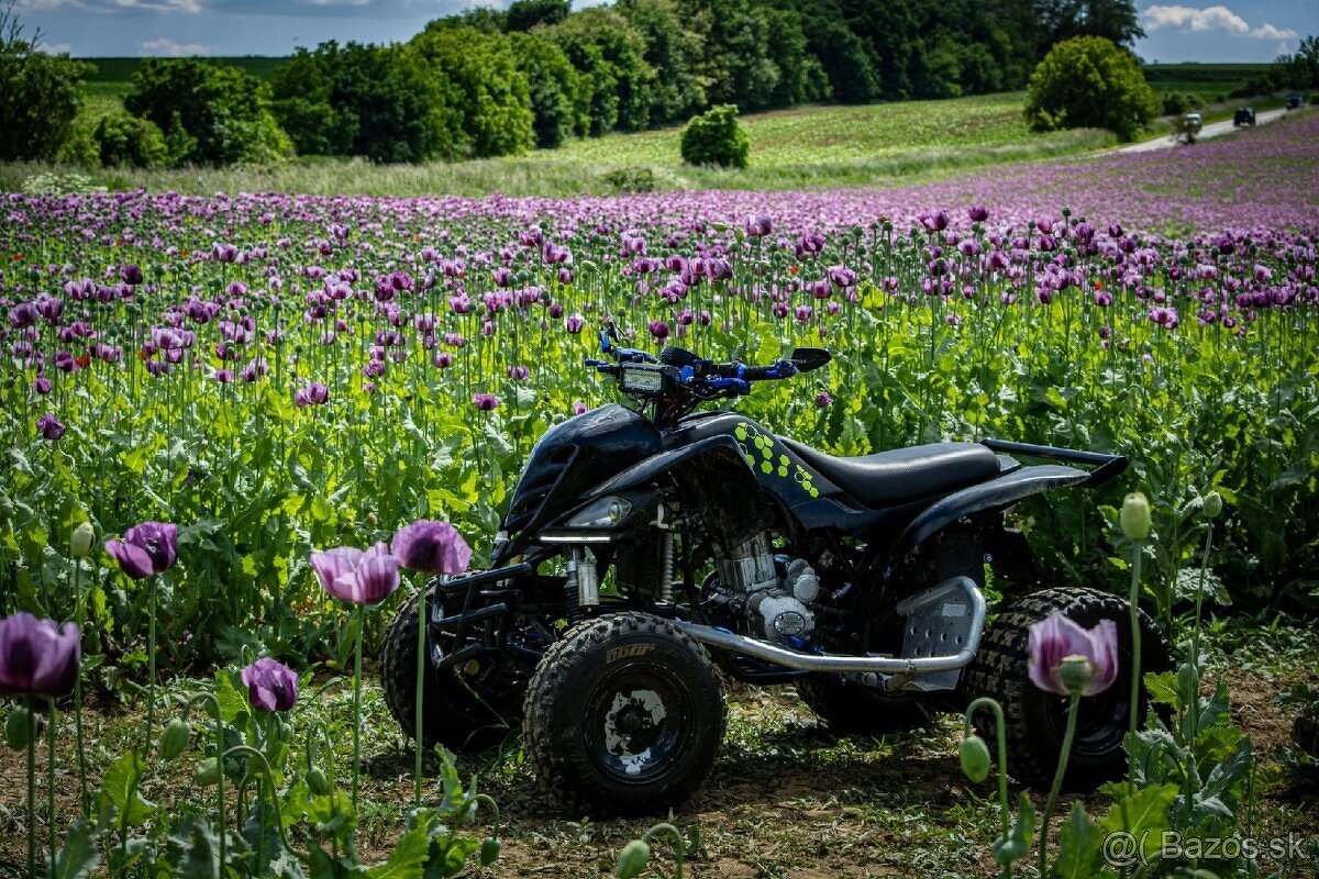 Predam Bashan 250ccm s TP a ŠPZ. VODNIK