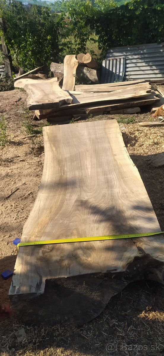 Priečne rezanie kmeňov stromu - 2