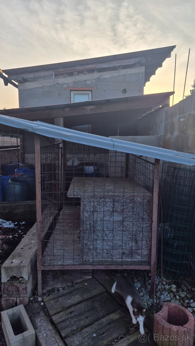 Voliera pre psa - 2