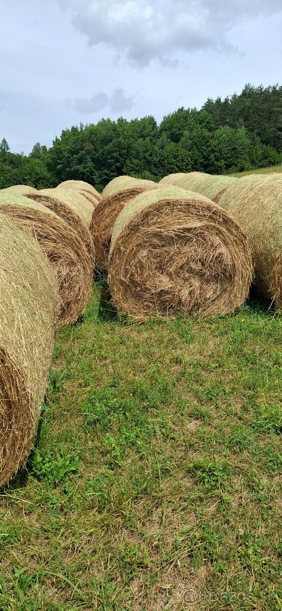 Balikovane seno - 2