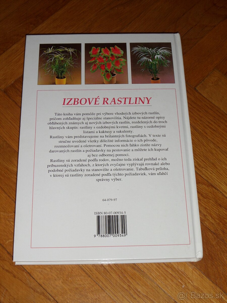 Izbové rastliny - 2