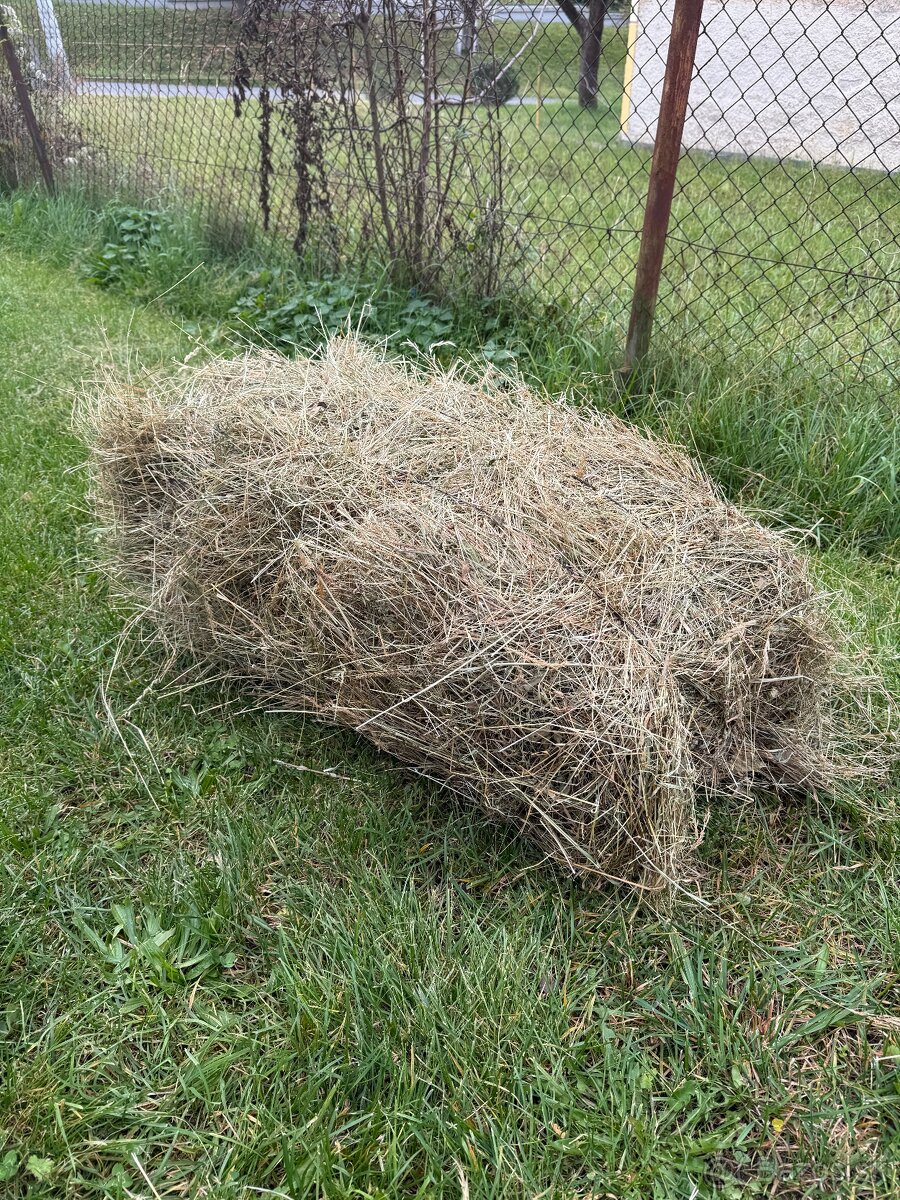 Seno malé balíky - 2