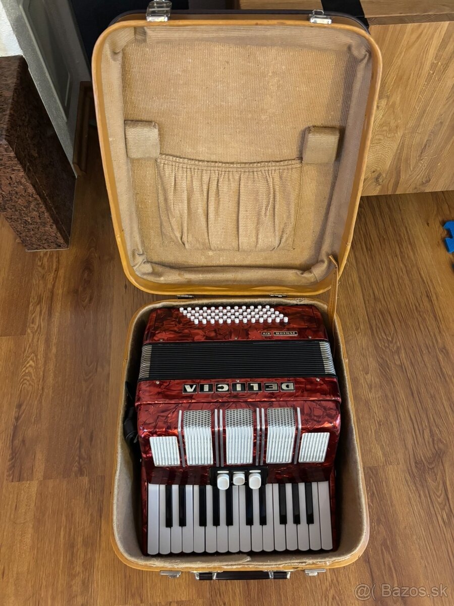 Akordeon DELICIA 60 bas - 2