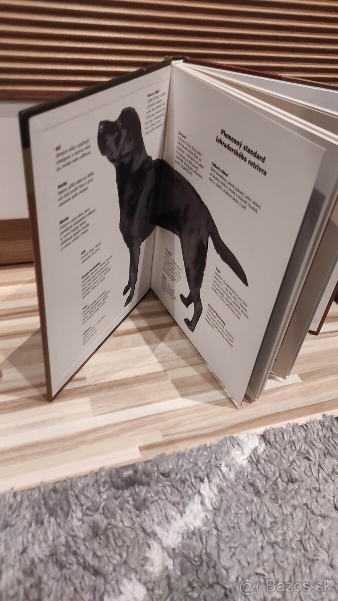 kniha Labradorsky retrivr - 2