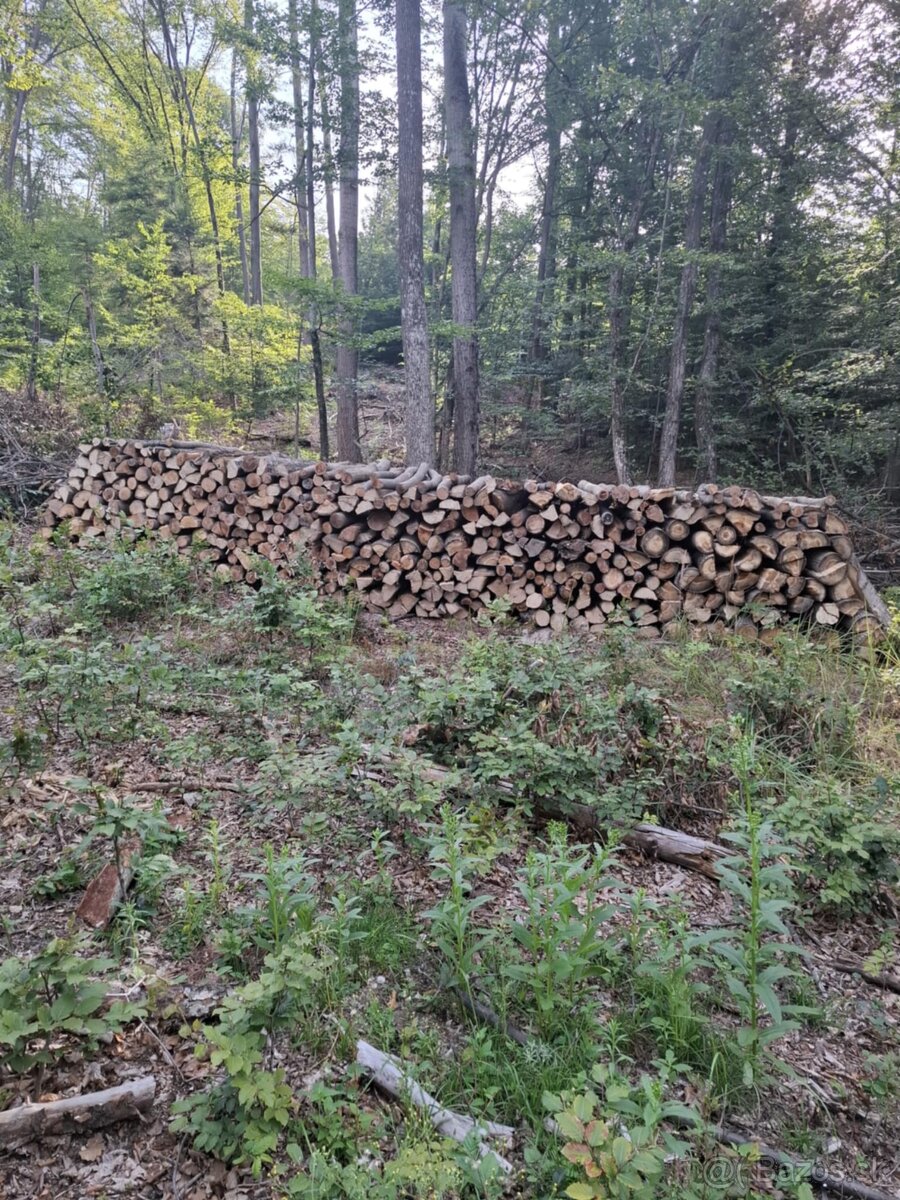 Palivové drevo Na predaj - 2