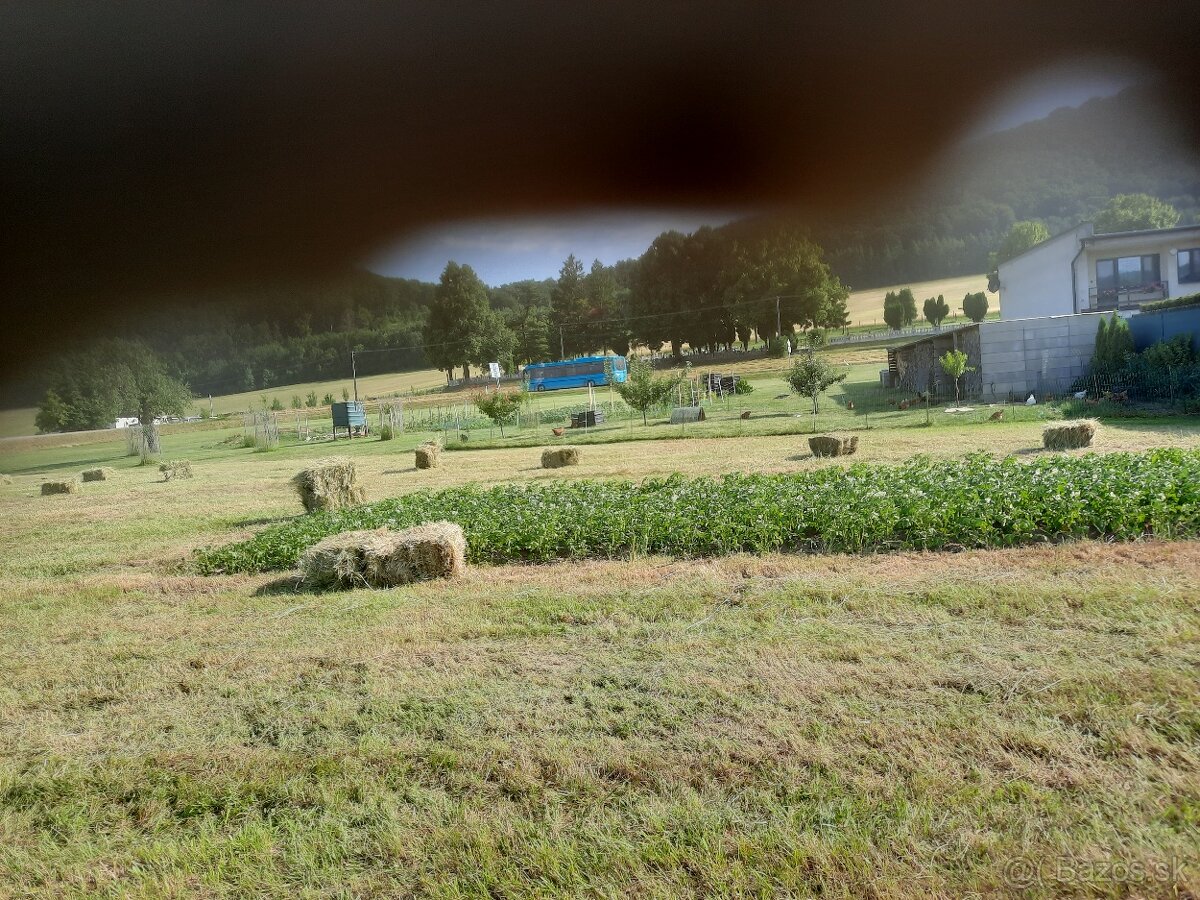 Predám seno v malých balíkoch - 2