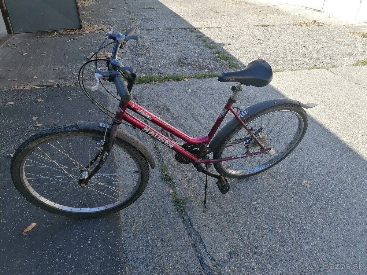 Dámsky bicykel - 2