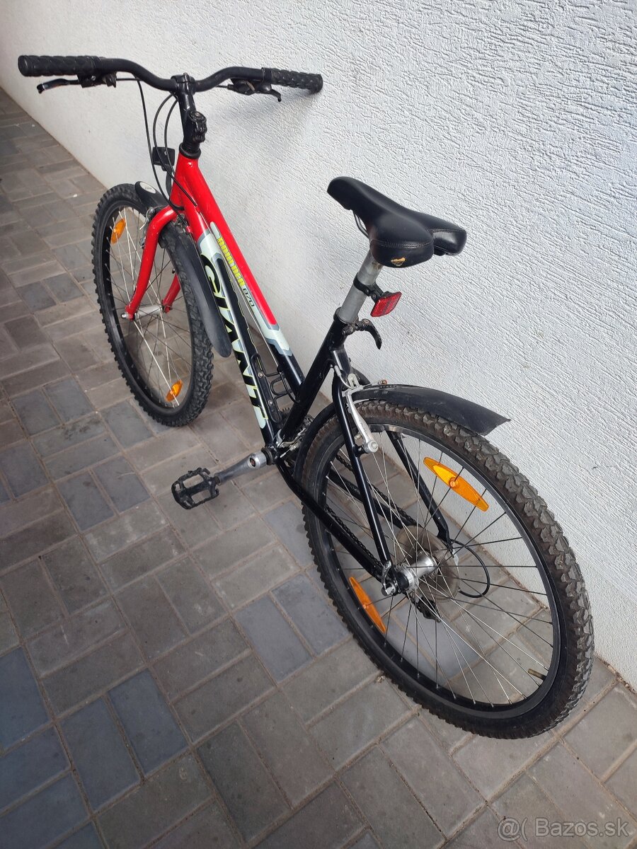 Damsky bicykel - 2