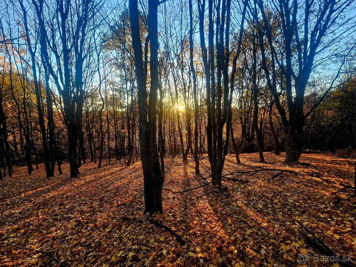 Pozemok na Prenčove - 2