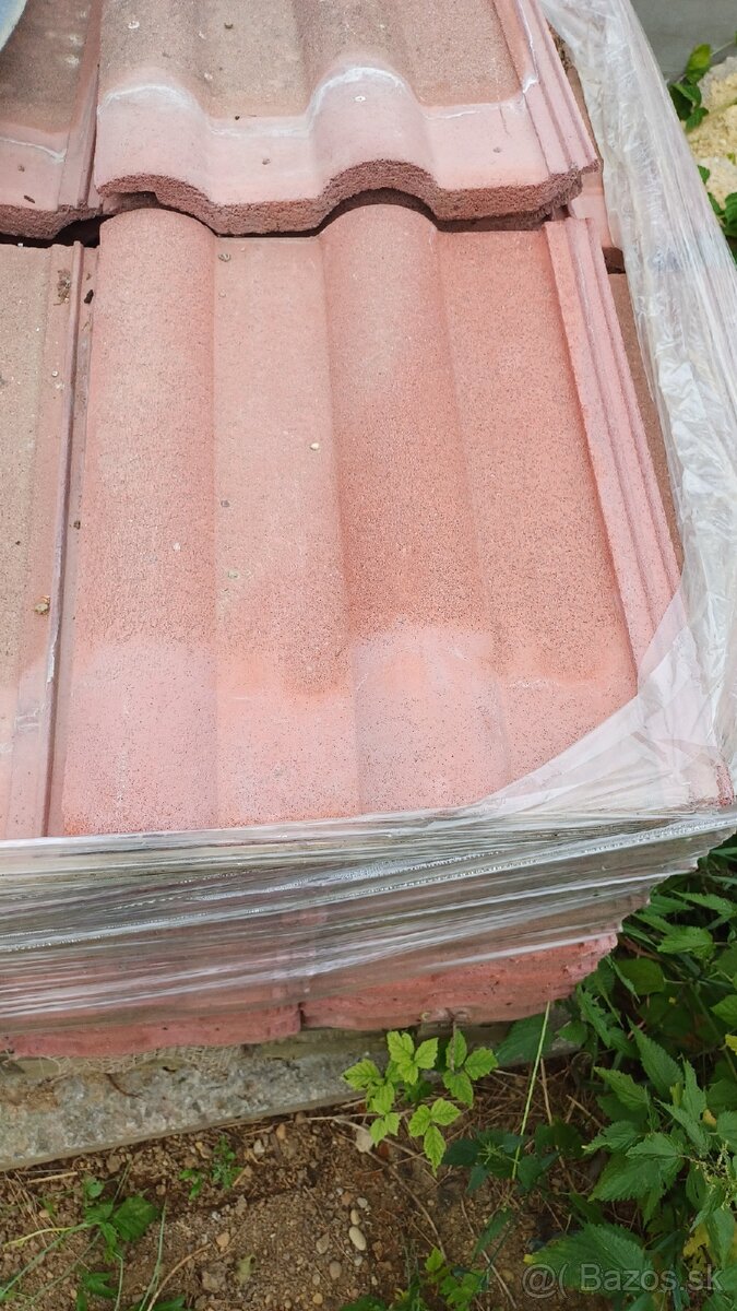 Predam betovu skridlu - 2