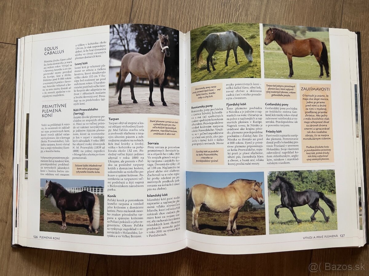 Ottova Encyklopédia Kone a Poníky - 2