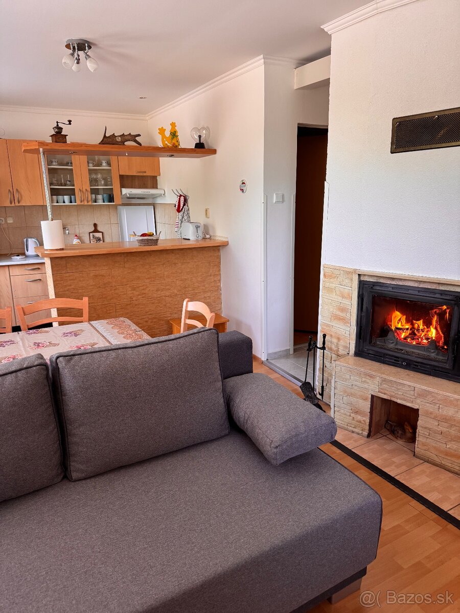 Domaša Eva nádherná chata skvelá ponuka na predaj - 2