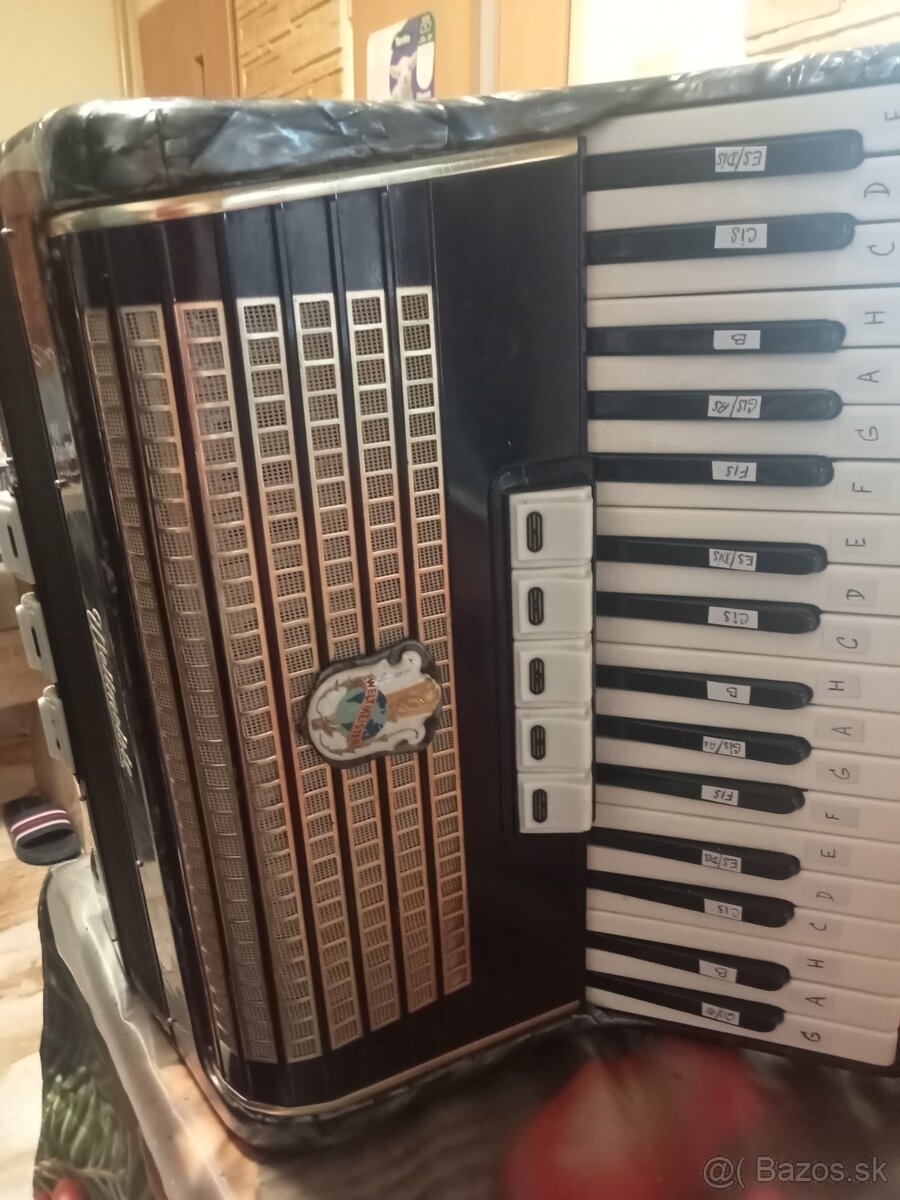 Akordeón weltmeister - 2