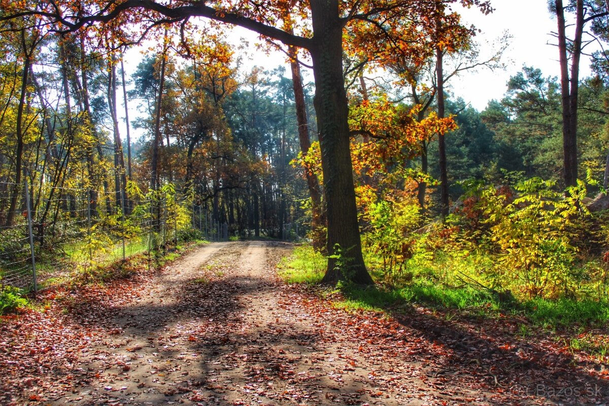 Pozemky pri vode Pieskovna - 2