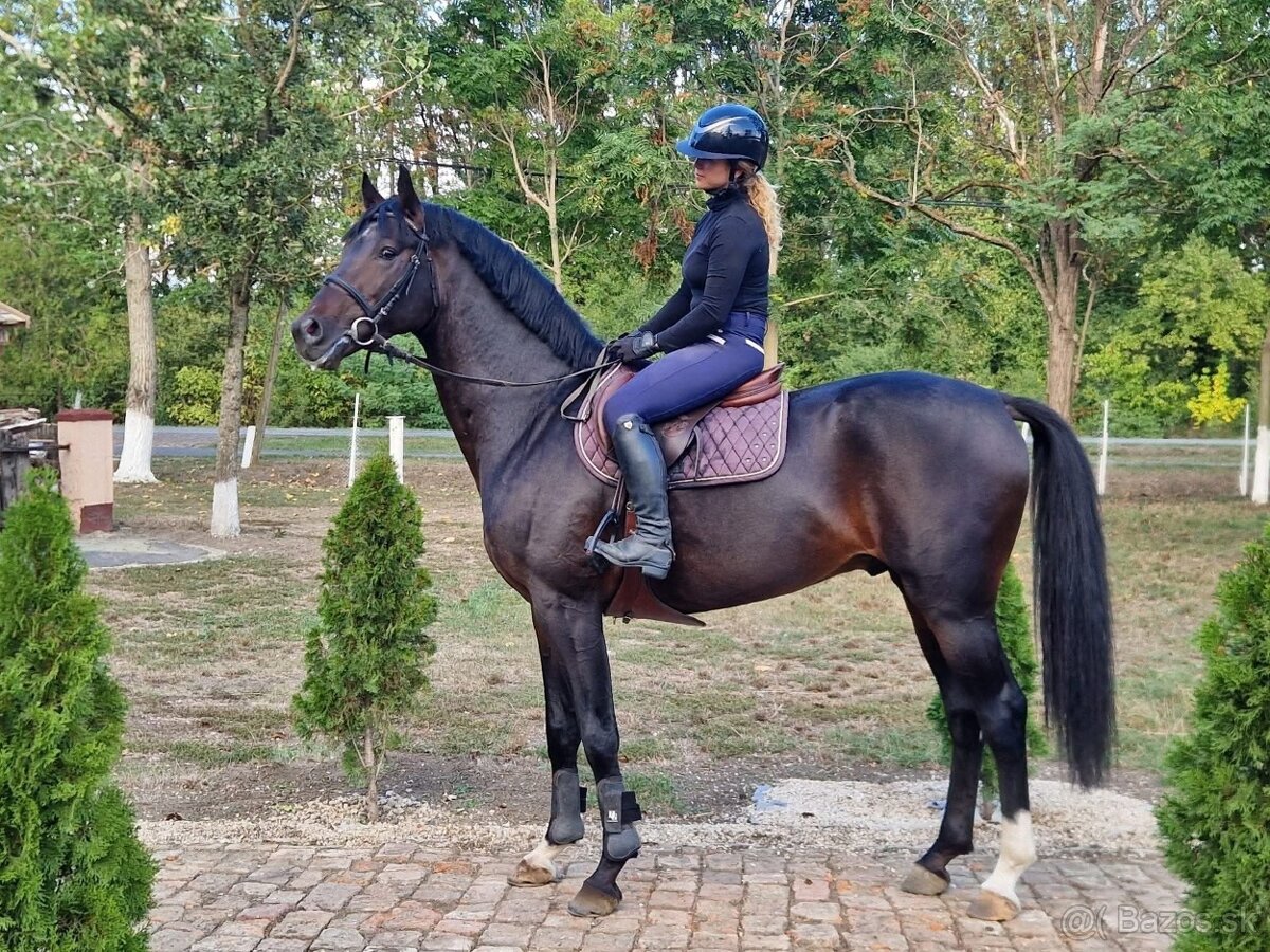 Cornet obolensky & Diamant De semilly - 2