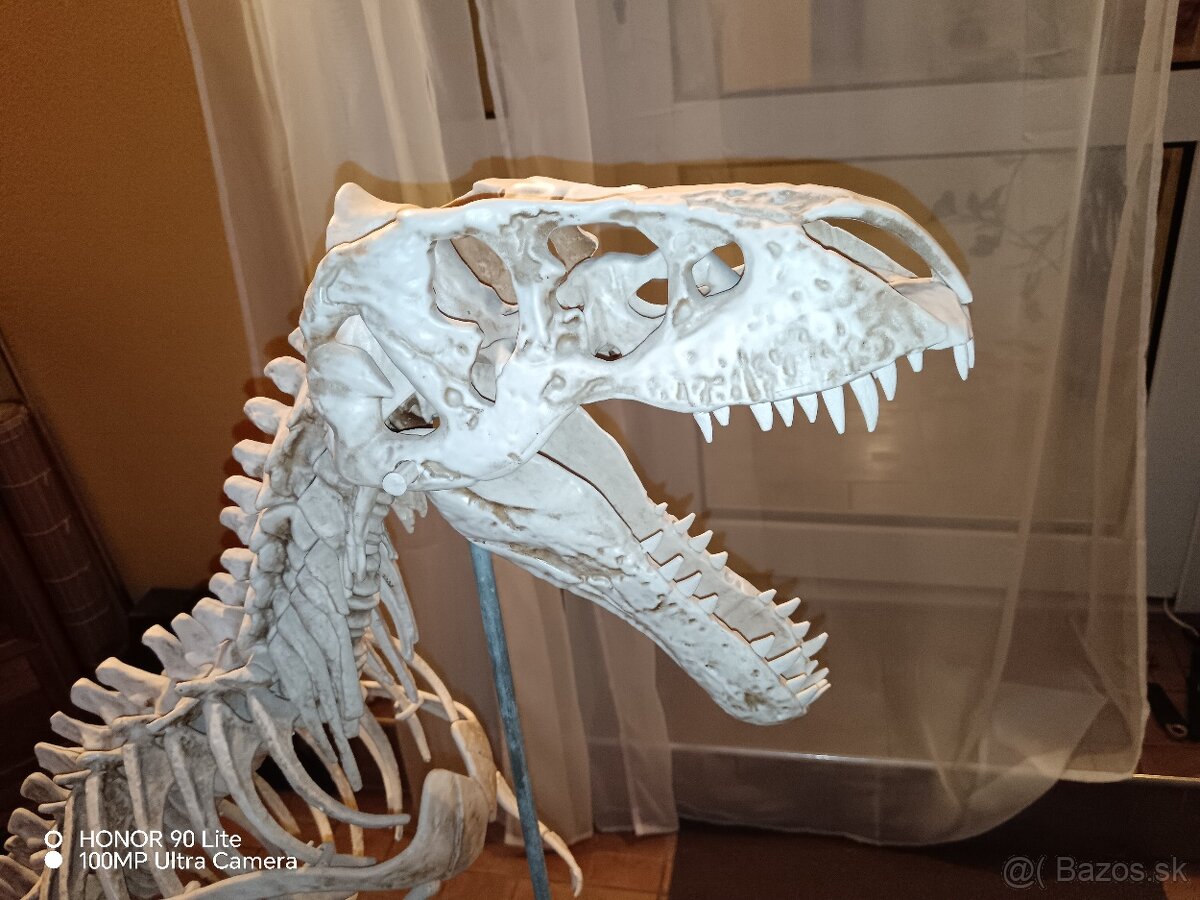 Tyranosaurus Rex - 2