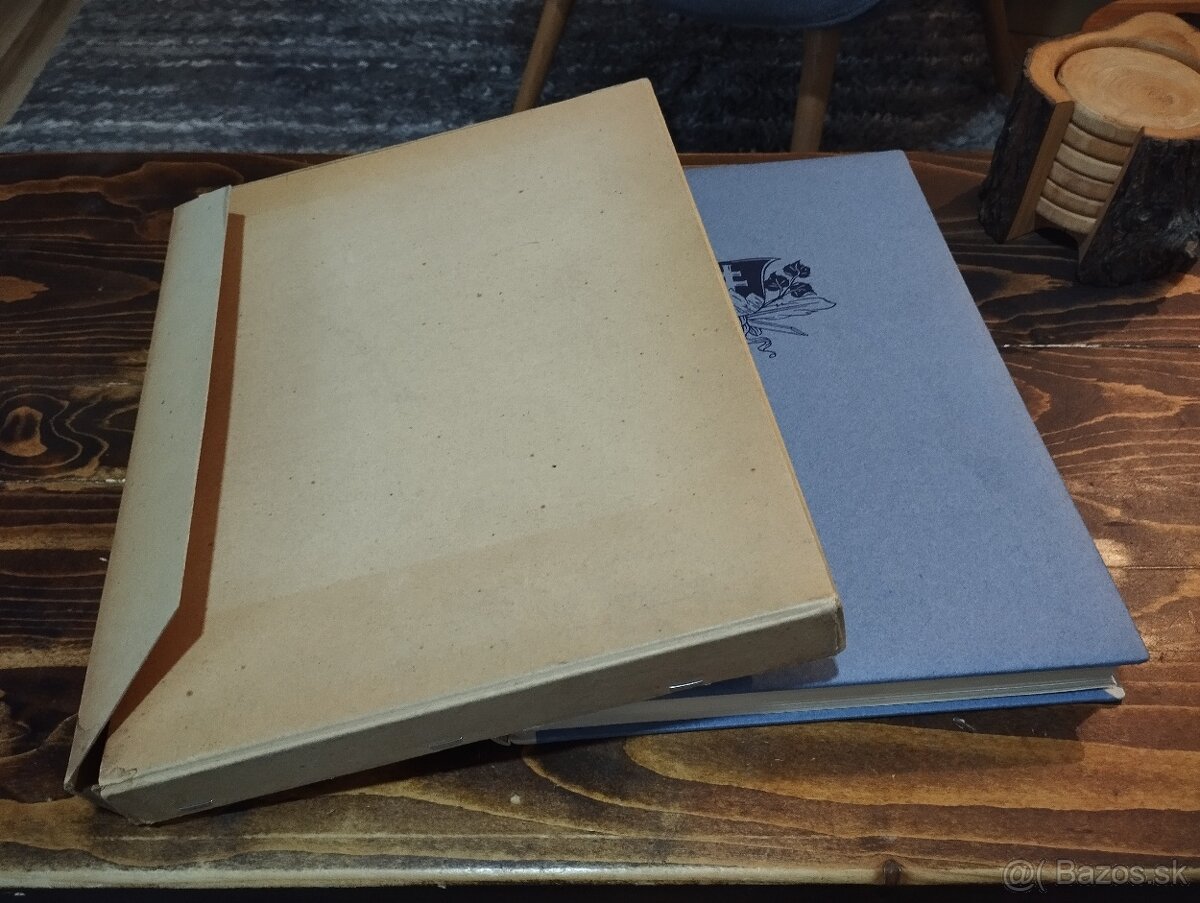 Karel Vik - Slovensko - 2