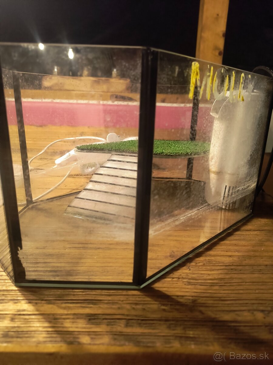 Korytnačka vodna - 2