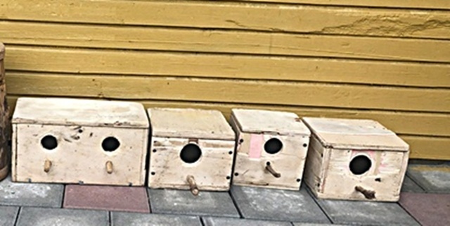 Predam budky pre vtačiky - 2