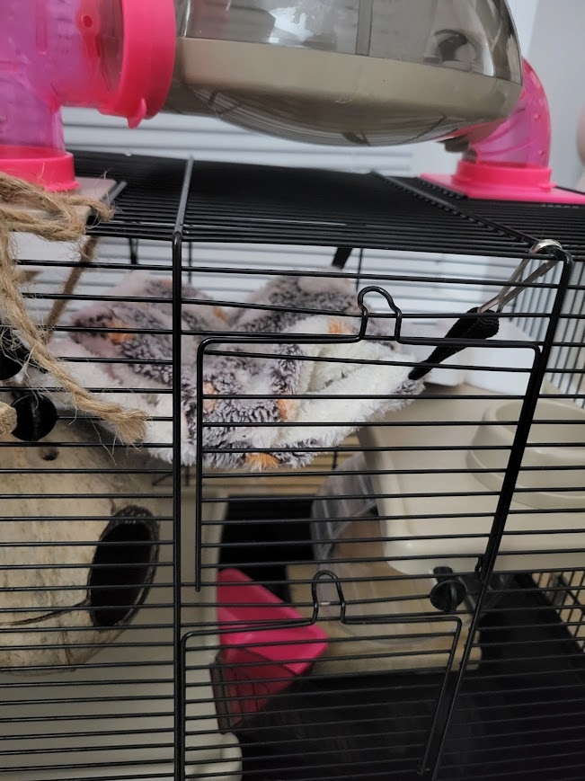 Klietka s vybavenim pre škrečka - 2