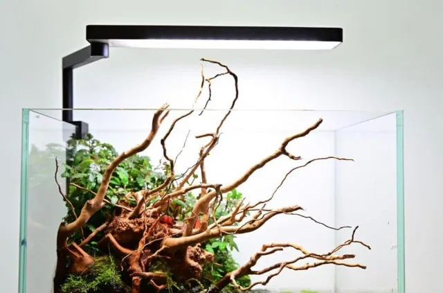 Chihiros LED C II - 2