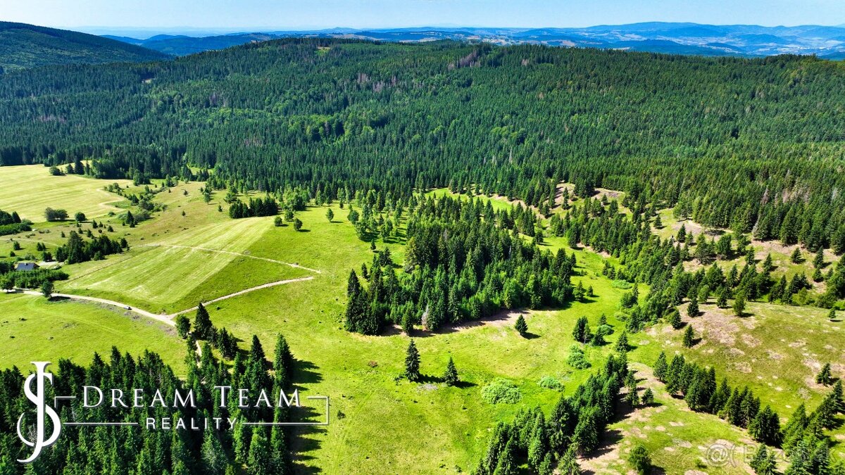 Stavebný pozemok 2.2ha v krásnom prostredí Látky okr. Detva - 2