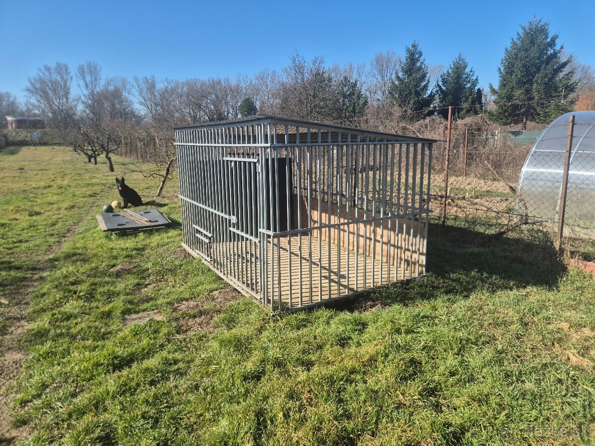 Voléria pre psa - 2