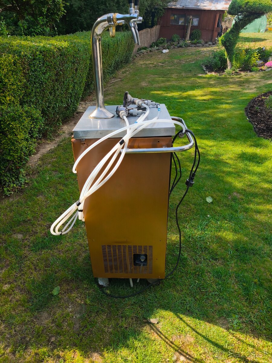 Víčap - 2