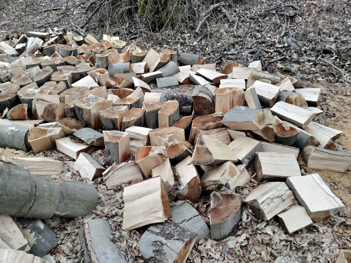 Palivové suché drevo - iba tvrdé - 2