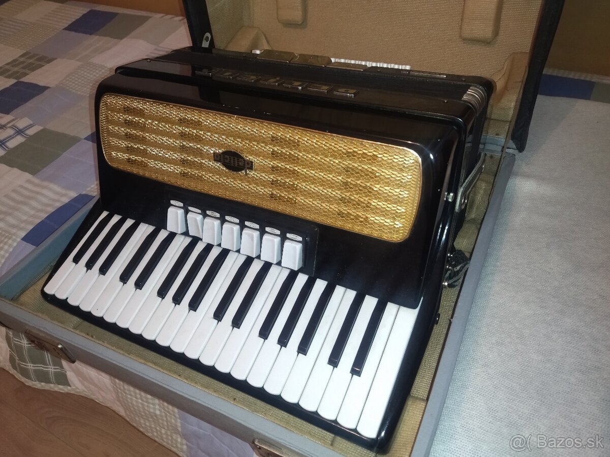 Harmonika Carmen Delicia - 2