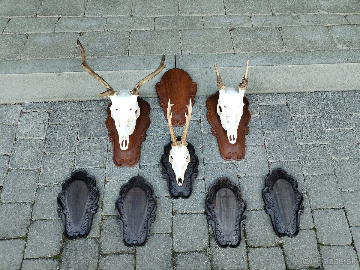 Podložky pod trofeje - 2