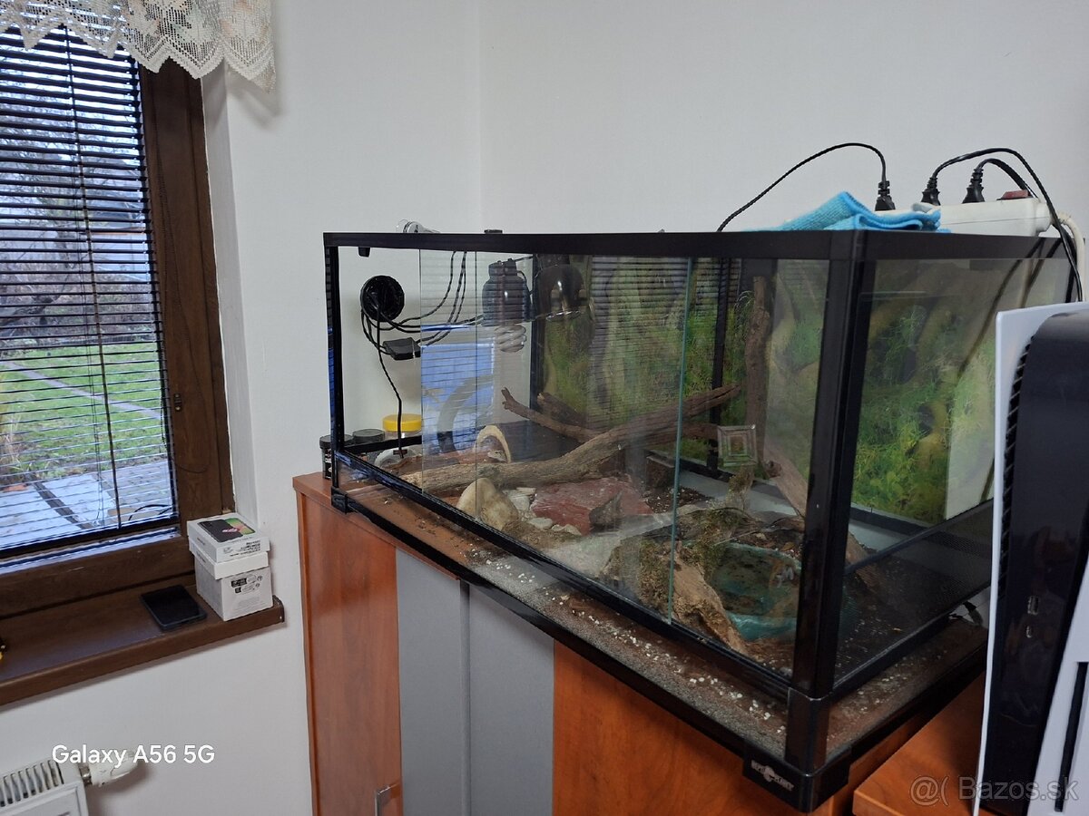 Predam terarium reptiplanet - 2