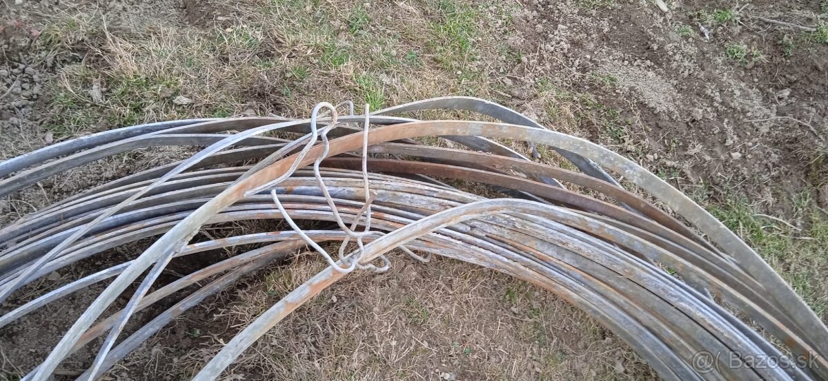 Zemniaca pásovina - 2