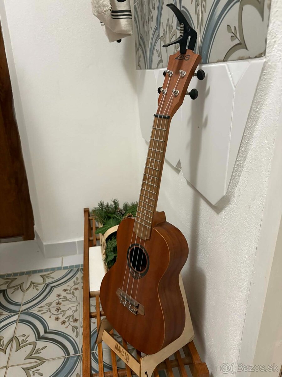 ukulele - 2