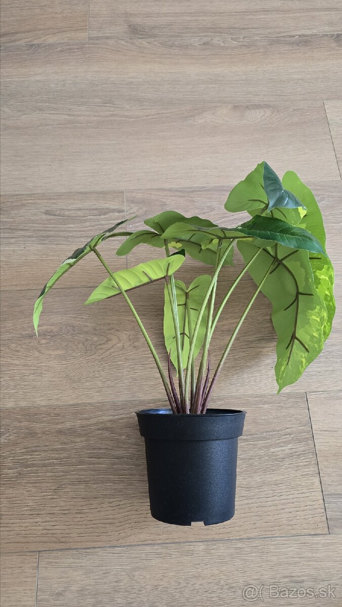 Umelá rastlina Ikea - 2