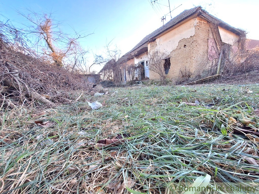 Pôvodná chalúpka v kľudnej časti podunajskej vinárskej ded - 2