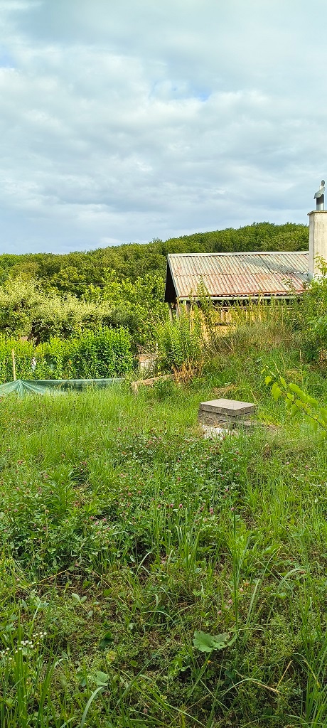 ZÁHRADA V Mč. KOŠICE - SEVER S ROZOSTAVANOU CHATOU - 2