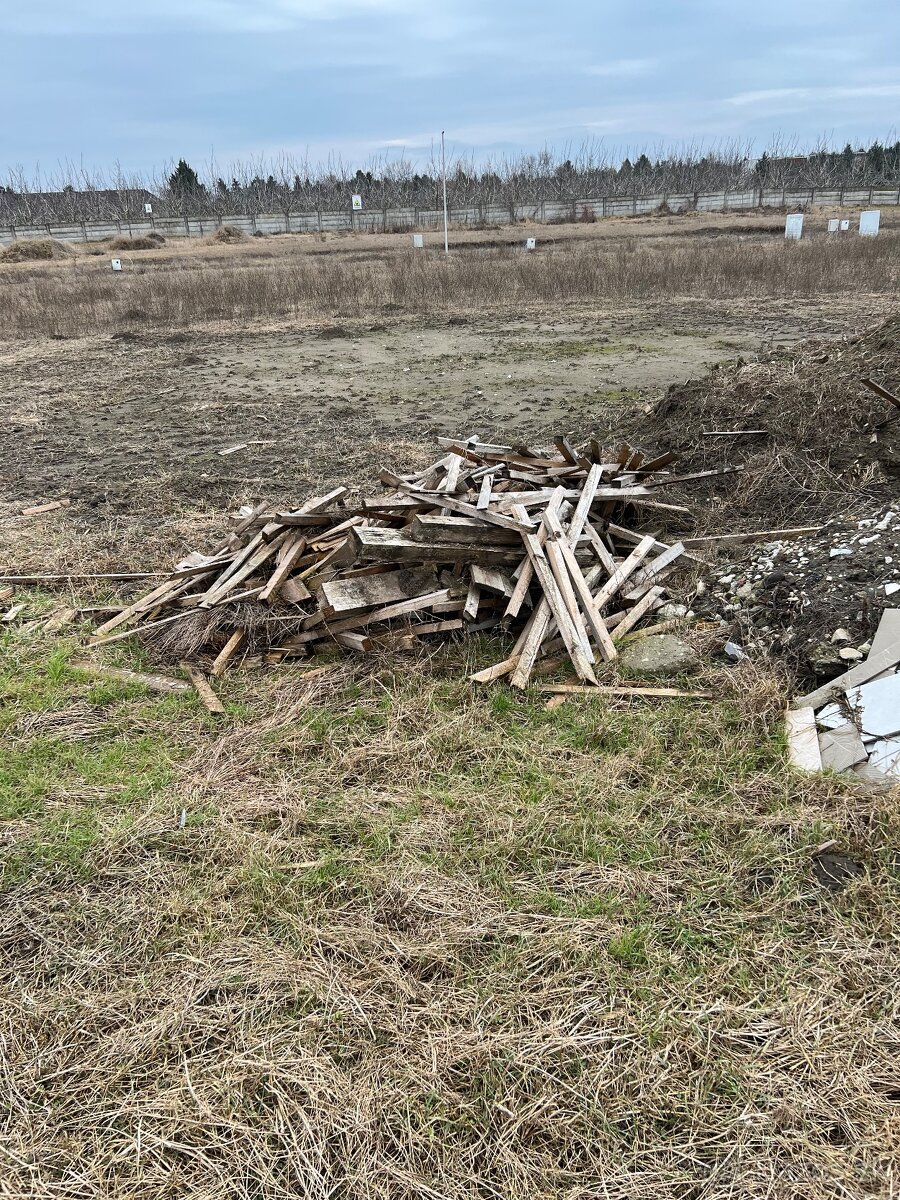 Darujem za odvoz drevo - 2