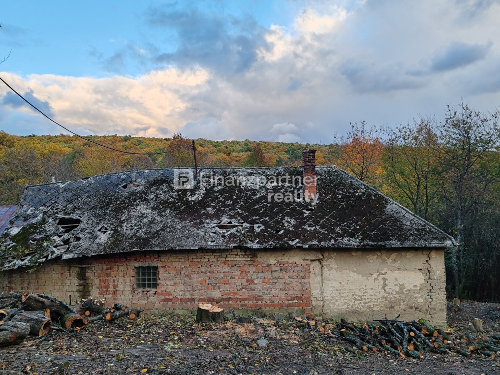 Dom na samote v lese-pokoj, ticho Stará Turá - 2