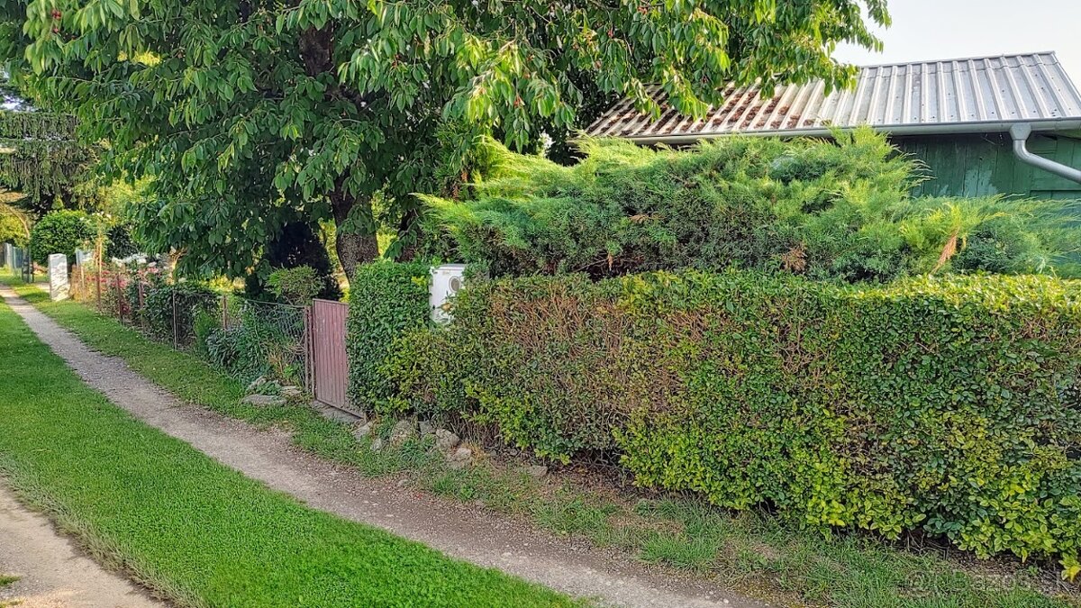 Záhrada s chatkou Šaľa - Veča - 2