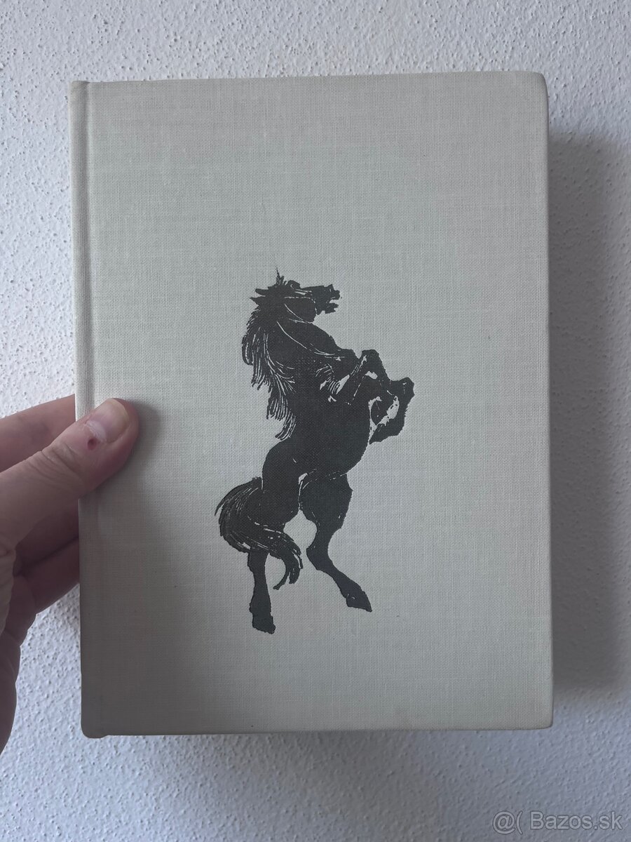 Karl May - Čierny Mustang - 2