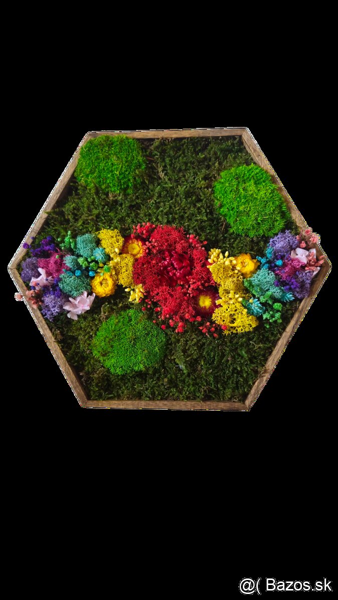 Machový obraz dúha - 2