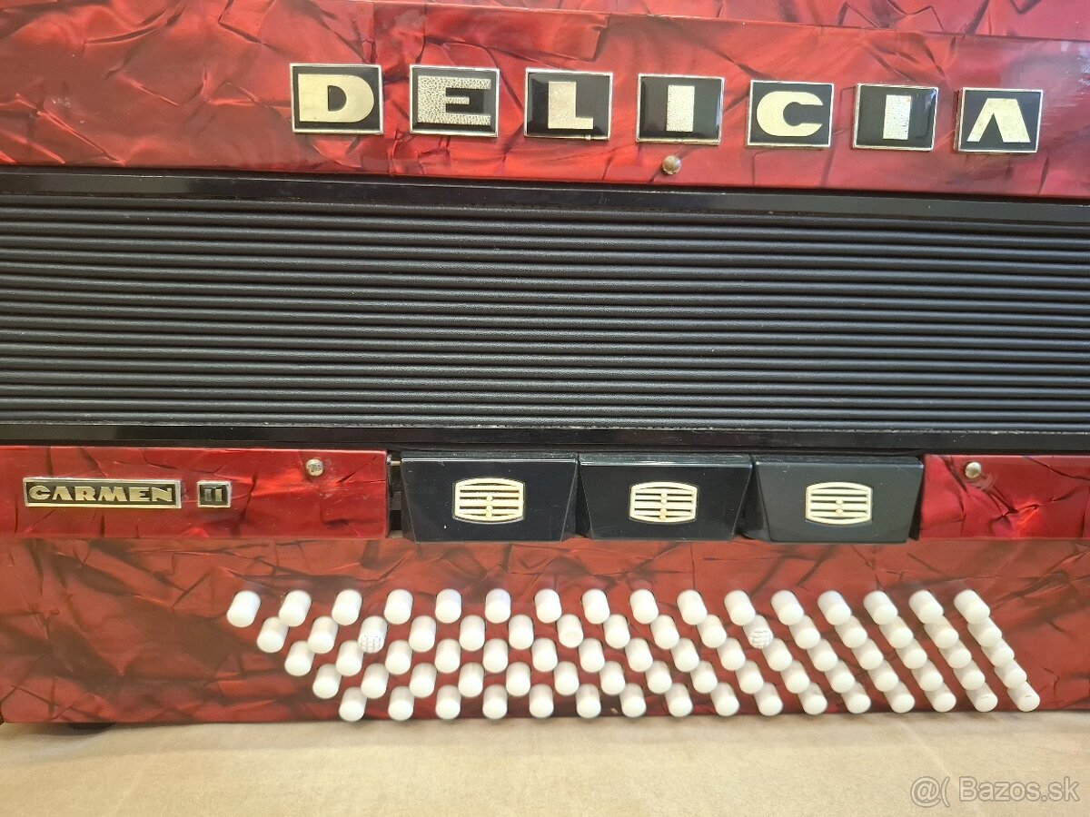 Akordeon DELICIA CARMEN II ,80 basovy - 2