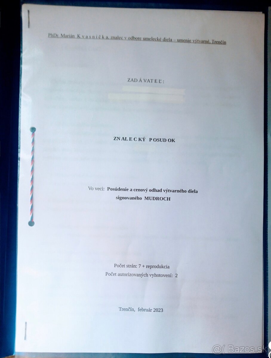 Ján Mudroch + znalecký posudok - 2