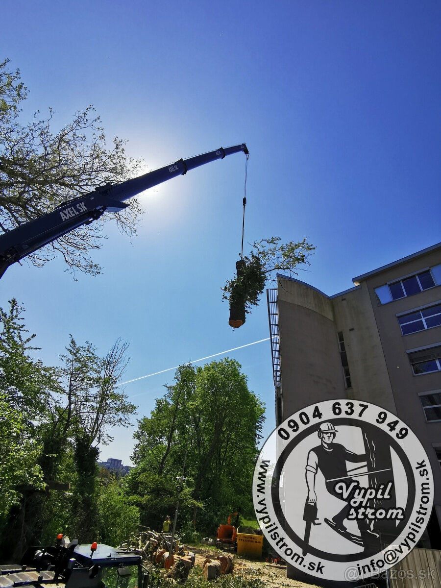 Pilenie a orezavanie stromov, kosenie a udrzba zahrad - 2