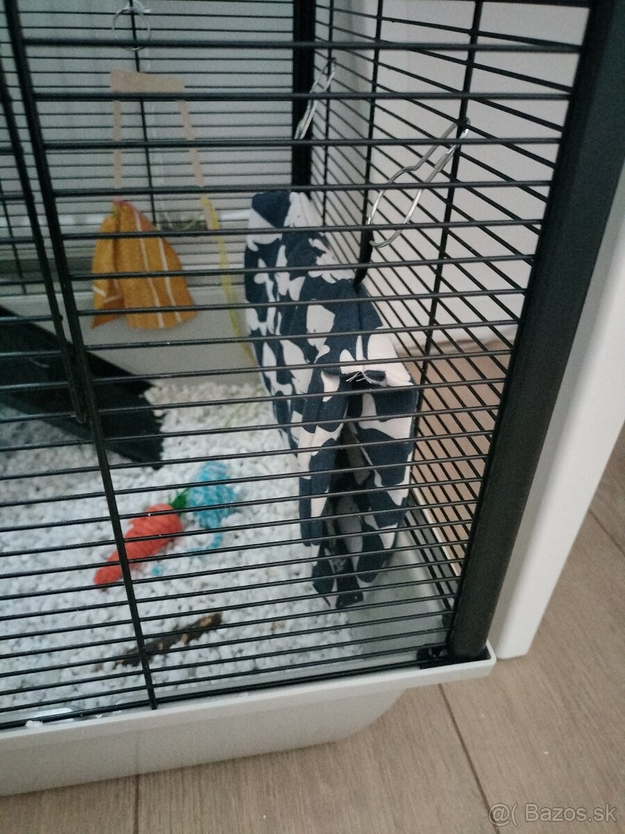 Klietka s dvomi potkaníkmi - 2