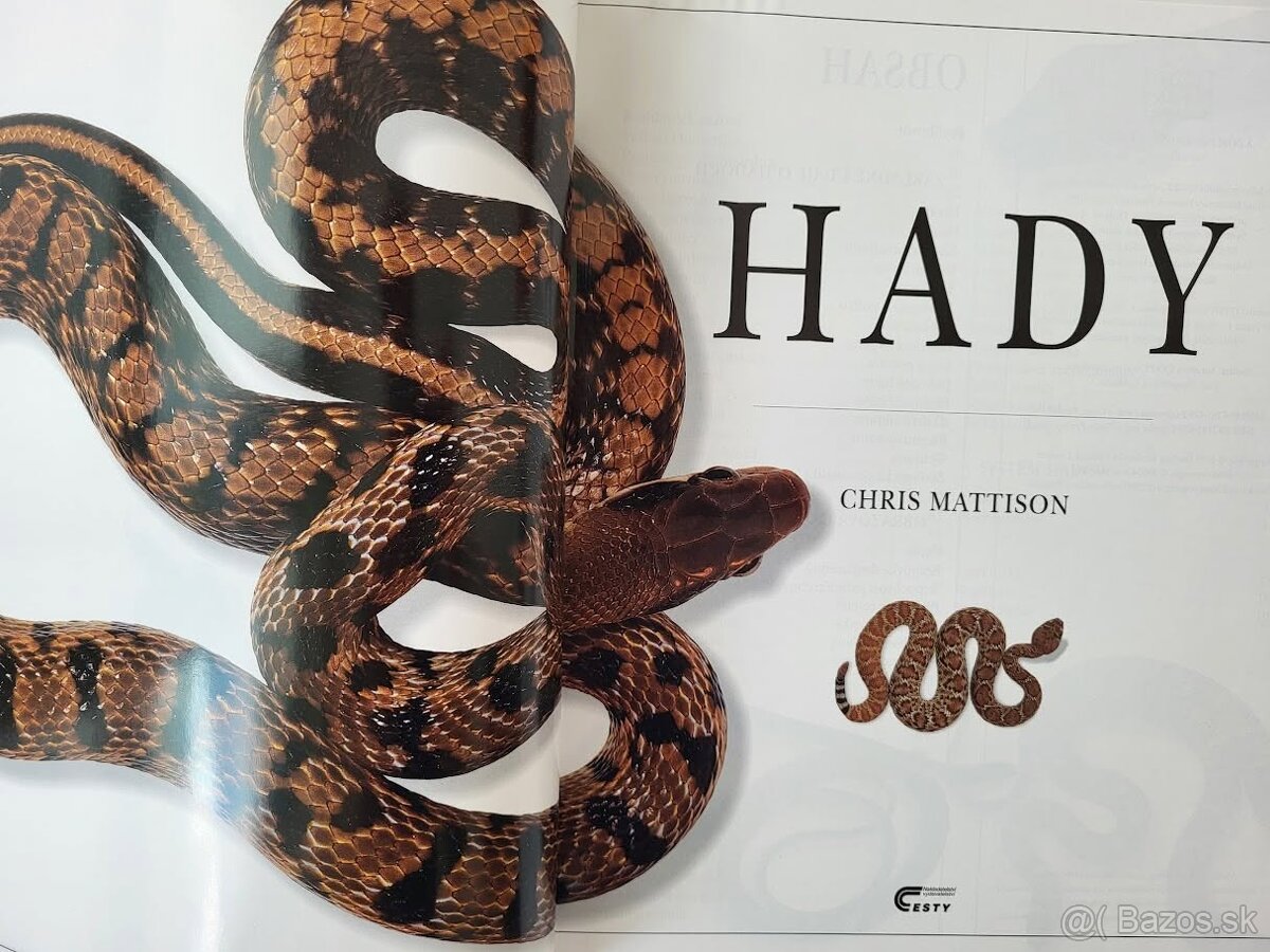 Chris Mattison - Hady - 2