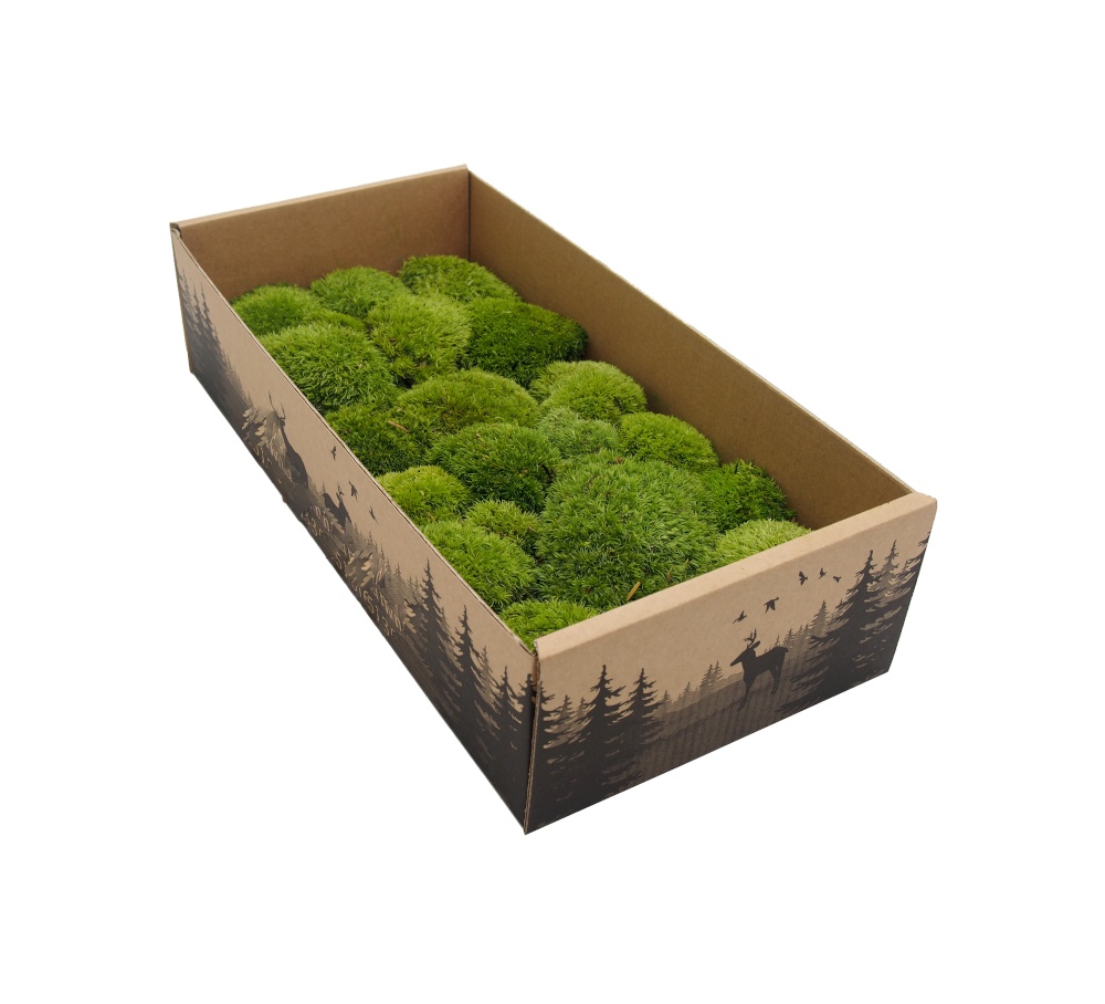 Stabilizovaný mach na výrobu vlastných obrazov - 2