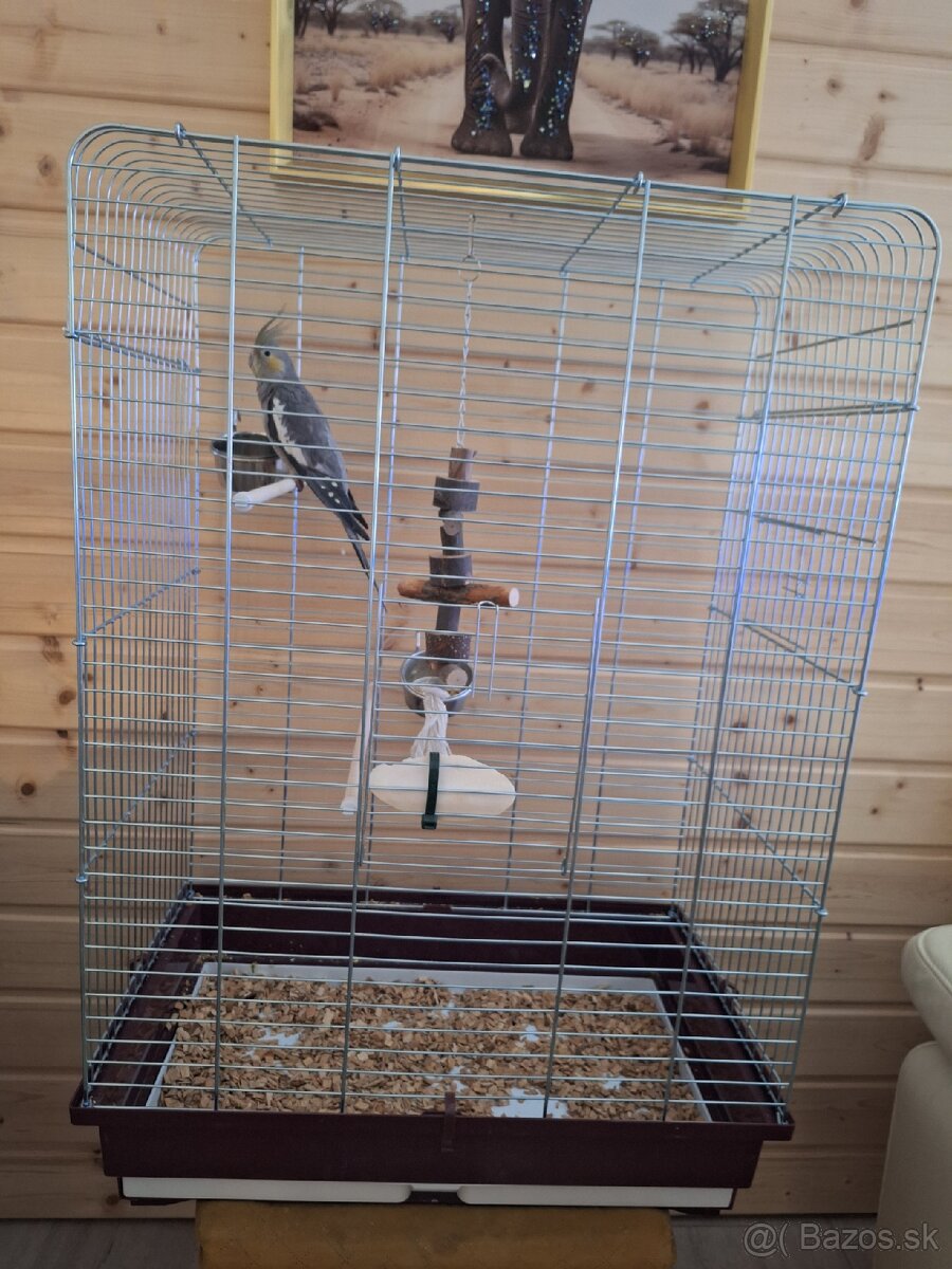 Korela s klietkou a všetkým čo treba - 2